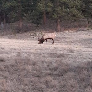 Meet your Posher, Scott